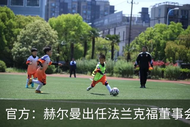 官方：赫尔曼出任法兰克福董事会主席，并临时接管体育事务